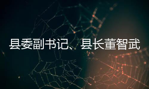 縣委副書記、縣長董智武檢查防汛抗臺