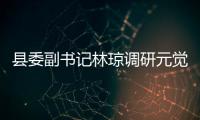 縣委副書記林瓊調研元覺街道