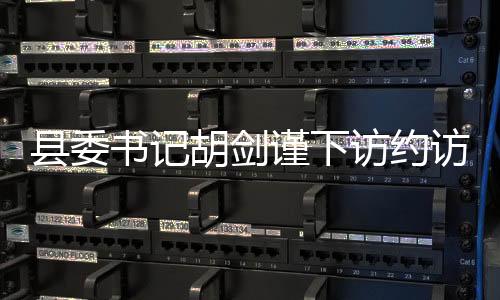 縣委書記胡劍謹下訪約訪解難題