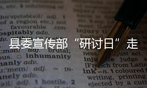 縣委宣傳部“研討日”走進國稅局
