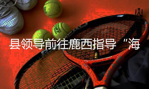 縣領導前往鹿西指導“海葵”防御工作