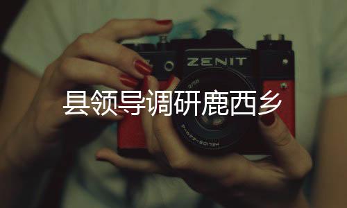 縣領導調研鹿西鄉