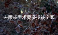 去眼袋手術要多少錢？哪些因素會影響祛眼袋的價格？