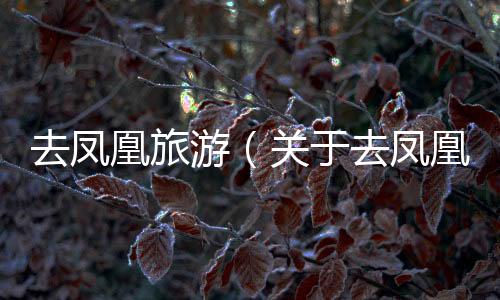 去鳳凰旅游（關于去鳳凰旅游的基本情況說明介紹）