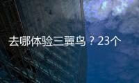 去哪體驗三翼鳥？23個城市新開42家，家門口可體驗