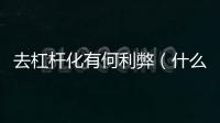 去杠桿化有何利弊（什么是去杠桿化）