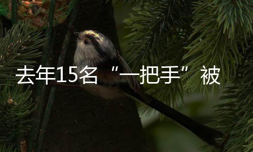 去年15名“一把手”被查，處分375人次，央企反腐持續高壓態勢