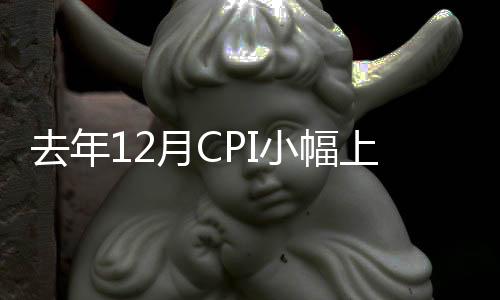 去年12月CPI小幅上漲，PPI降幅收窄，專家預計今年CPI仍在低位運行
