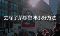 去除了茅廁臭味小好方法都有哪些