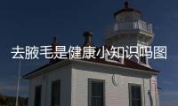去腋毛是健康小知識嗎圖片女以及去腋毛是健康小知識嗎圖片的情況分析