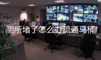 廁所堵了怎么辦疏通馬桶有妙招（廁所堵了）