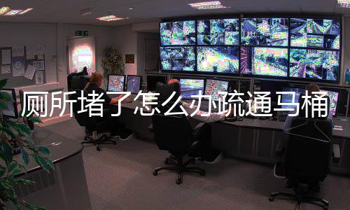 廁所堵了怎么辦疏通馬桶有妙招（廁所堵了）
