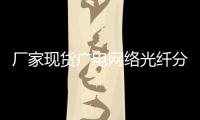 廠家現貨廣電網絡光纖分纖箱