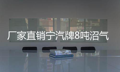 廠家直銷寧汽牌8噸沼氣池吸污車專汽家園
