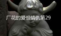 廠花的愛恨情仇第29