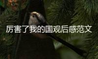 厲害了我的國觀后感范文精選10篇 厲害了我的國觀后感怎么寫