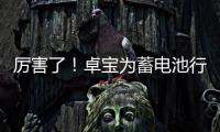 厲害了！卓寶為蓄電池行業(yè)企業(yè)產(chǎn)業(yè)園穿上了“新衣