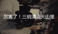 厲害了！三明清流大山里的這個(gè)養(yǎng)雞場(chǎng)年銷售額突破1億元！