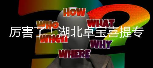 厲害了！湖北卓寶喜提專精特新“小巨人”稱號