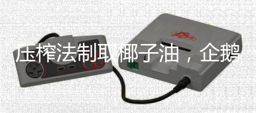 壓榨法制取椰子油，企鵝糧油機械海南椰子油項目備受稱贊