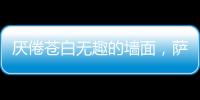 厭倦蒼白無趣的墻面，薩拉瑪藝術(shù)漆給你驚艷想象!