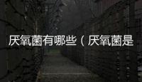 厭氧菌有哪些（厭氧菌是什么意思）