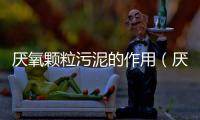 厭氧顆粒污泥的作用（厭氧顆粒污泥廠家分享）