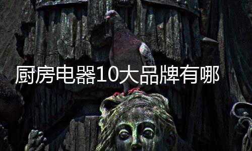 廚房電器10大品牌有哪些（廚房電器10大品牌）