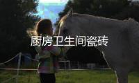 廚房衛(wèi)生間瓷磚