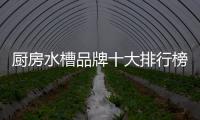 廚房水槽品牌十大排行榜