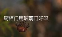 廚柜門用玻璃門好嗎  廚房用什么樣的玻璃門好,行業資訊