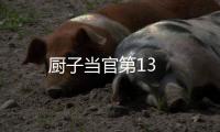 廚子當官第13
