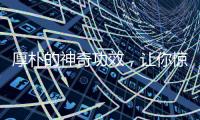 厚樸的神奇功效，讓你驚嘆不已