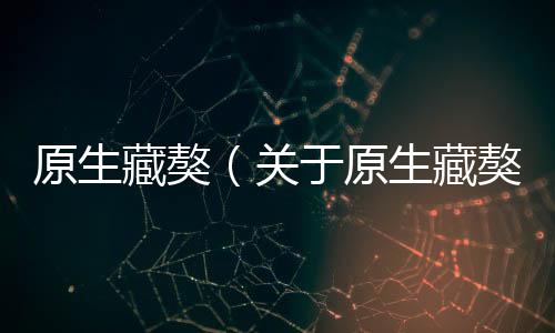 原生藏獒（關于原生藏獒的基本情況說明介紹）