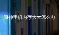 原神手機(jī)內(nèi)存太大怎么辦（原神4.0開服內(nèi)存過大的原因）