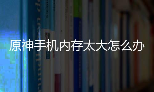 原神手機(jī)內(nèi)存太大怎么辦（原神4.0開服內(nèi)存過大的原因）