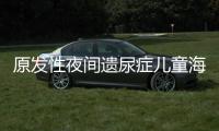 原發性夜間遺尿癥兒童海馬亞區的靜止狀態功能連接異常