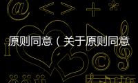 原則同意（關于原則同意的基本情況說明介紹）