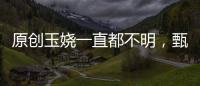原創玉嬈一直都不明，甄家女孩都從玉，為何姐姐甄嬛偏偏就沒有呢？