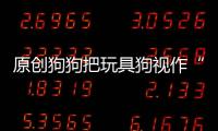 原創(chuàng)狗狗把玩具狗視作“精神支柱”，吃飯睡覺(jué)形影不離，主人也挺會(huì)玩