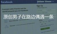 原創(chuàng)男子在路邊偶遇一條狗，看到汪的眼睛時(shí)：知道你親爹是誰了