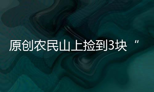 原創農民山上撿到3塊“肉”，拿去賣了180萬，究竟什么肉這么值錢？