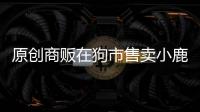 原創(chuàng)商販在狗市售賣(mài)小鹿犬，很多人都不太了解小鹿犬！