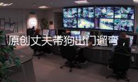 原創丈夫帶狗出門遛彎，老半天都沒回來，看到拖鞋后頓時心疼了