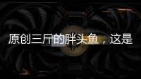原創三斤的胖頭魚，這是營養又省油的做法，湯汁醇香還不膩，就用這招