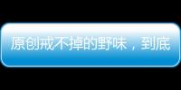 原創(chuàng)戒不掉的野味，到底有什么好