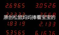 原創松鼠媽媽捧著寶寶的舉動讓人尊敬，目擊者從此為松鼠搭“餐廳”