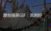 原創搞笑GIF：真的好冷，爸爸也進去躲躲吧