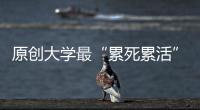 原創大學最“累死累活”的4個專業！畢業后幾乎人人撈金，捧上“鐵飯碗”