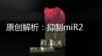 原創解析：抑制miR21、體內偶聯白蛋白的RNAi